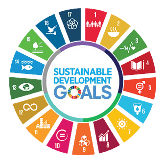 sustainable goals