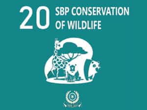 sbp SBP Conservation of Wild